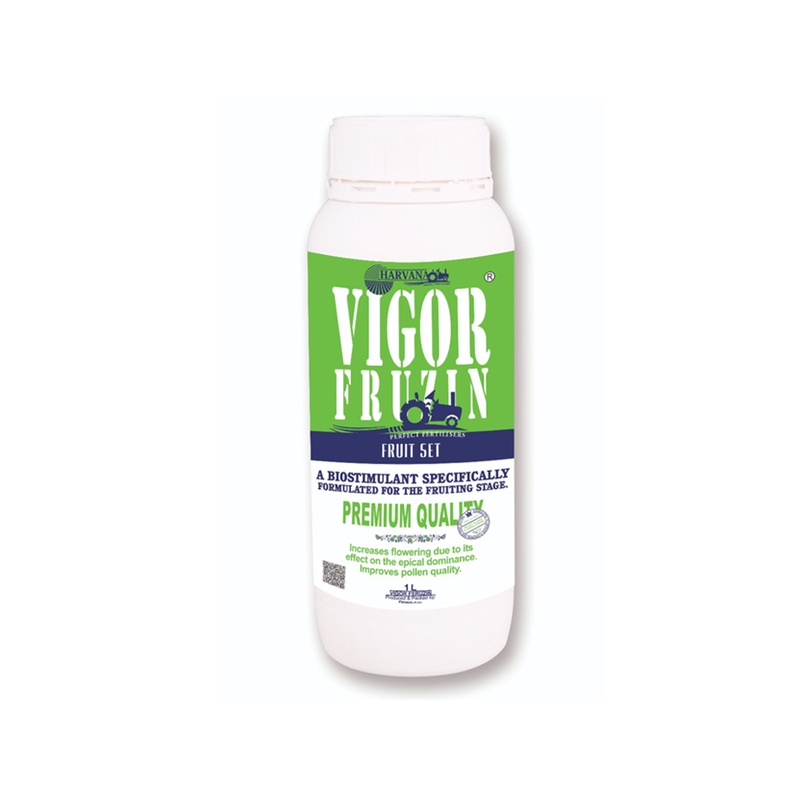 VIGOR FRUZIN